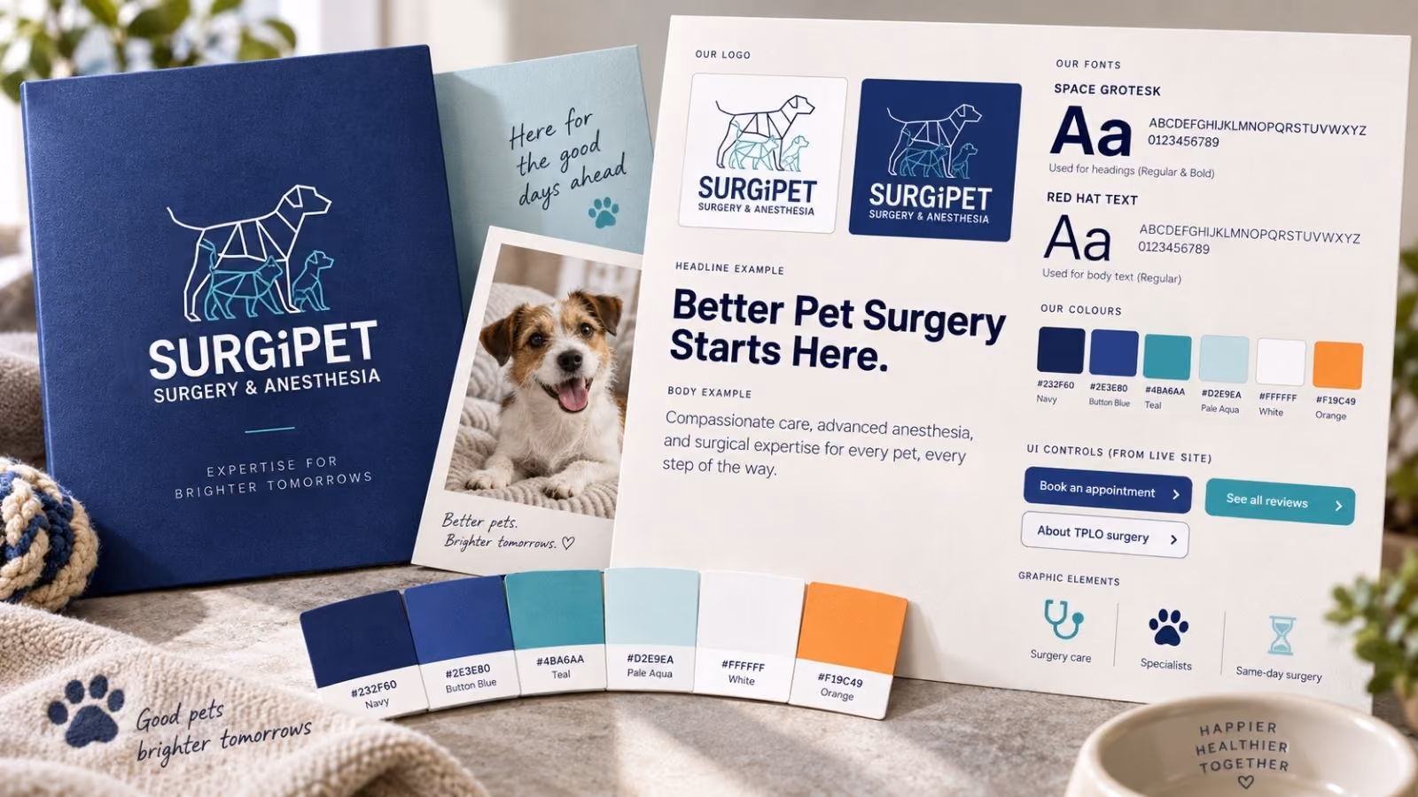 SurgiPet design language: colour, type and interface details.