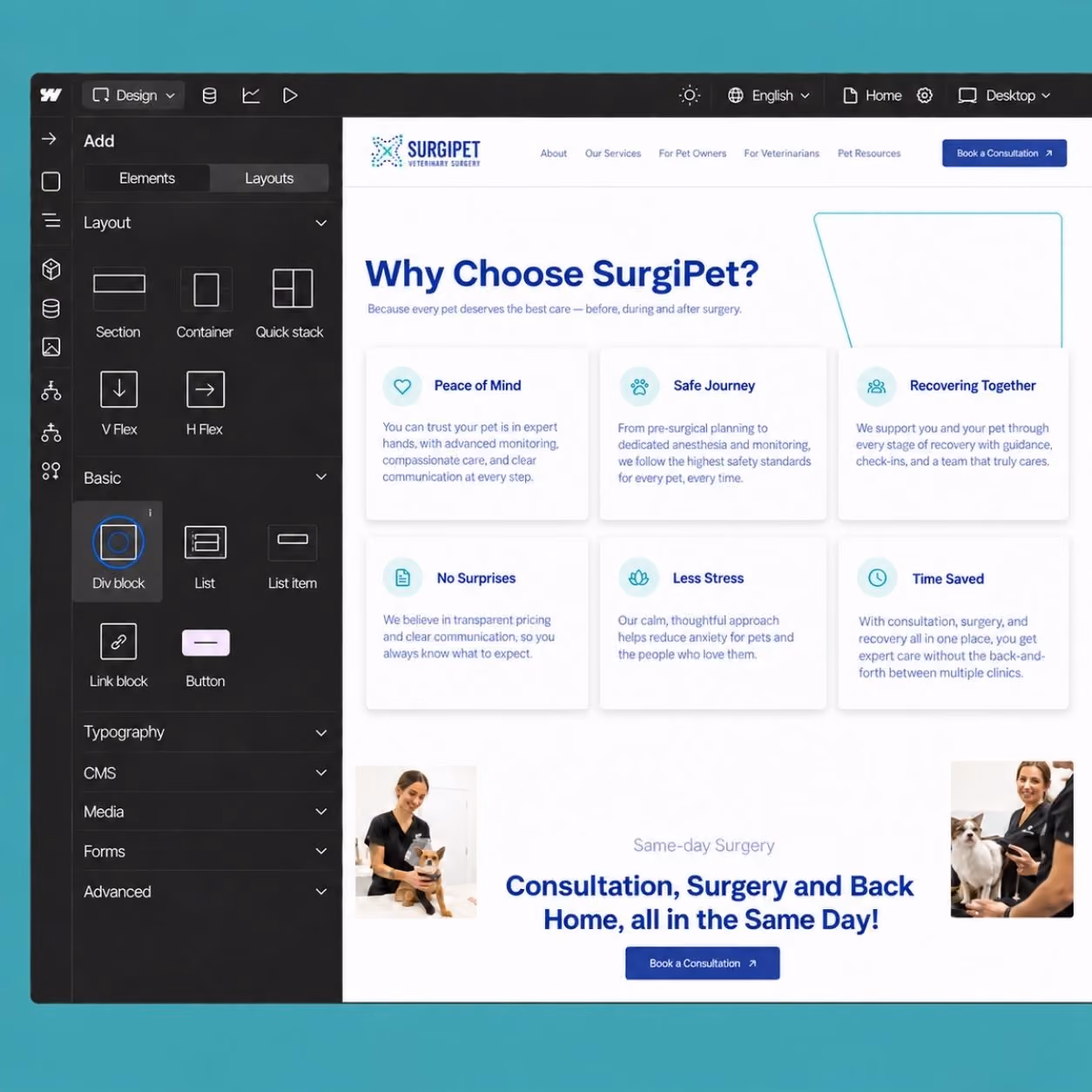 SurgiPet website pages shown on desktop and mobile devices.